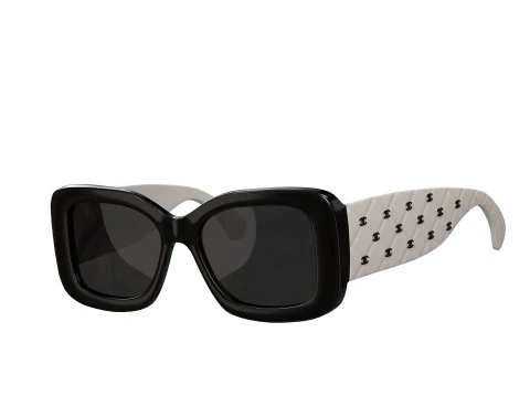 Acetate 5483 Rectangle Sunglasses 3D Model