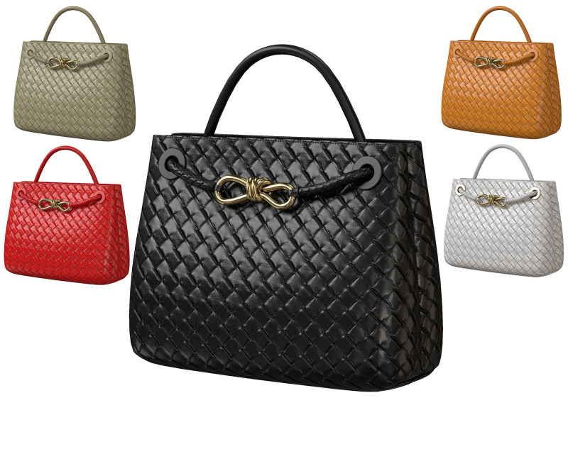 Andiamo Bag 3D Model .c4d .max .obj .3ds .fbx .stl .blend
