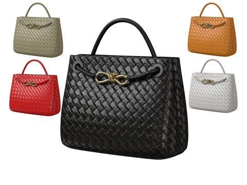 Andiamo Bag 3D Model