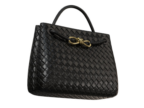 Andiamo Bag 3D Model