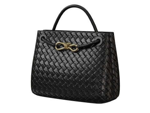 Andiamo Bag 3D Model