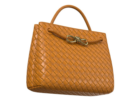 Andiamo Bag 3D Model