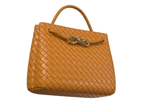 Andiamo Bag 3D Model