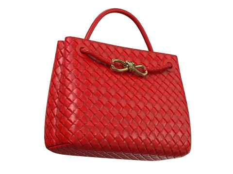 Andiamo Bag 3D Model