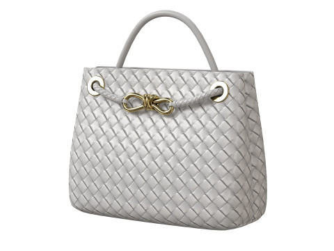 Andiamo Bag 3D Model