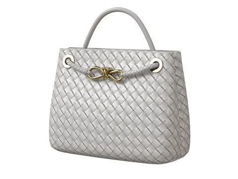 Andiamo Bag 3D Model