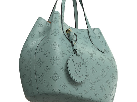 Blossom PM Bag flight mode 3D Модель