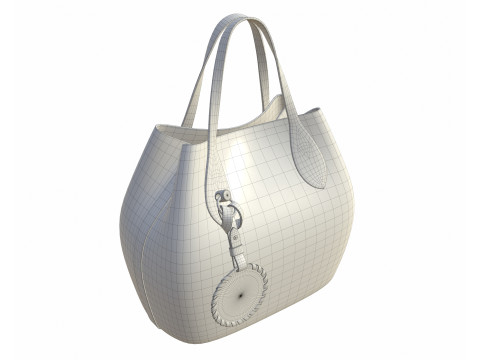 Blossom PM Bag flight mode 3D Модель