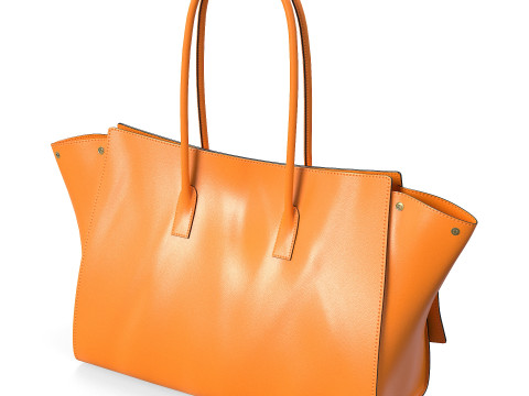 Bel Air Carry All Bag Model 3D