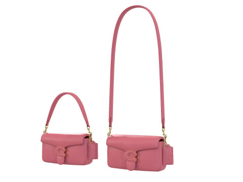 Pillow Tabby Bag Model 3D
