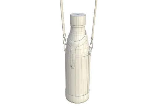 Yonne Case and Flask 3D Model