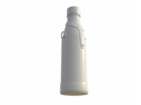 Yonne Case and Flask 3D Model