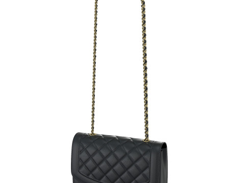 Vintage Medium Diana Flap Bag Black Modelo 3D