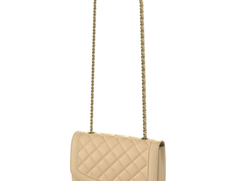 Vintage Medium Diana Flap Bag Cream Modelo 3D