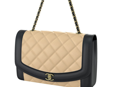 Vintage Medium Diana Flap Bag Modello 3D