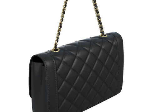 Vintage Medium Diana Flap Bag Modello 3D