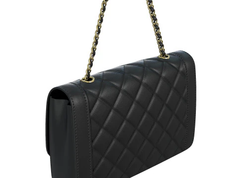 Vintage Medium Diana Flap Bag 3D Model