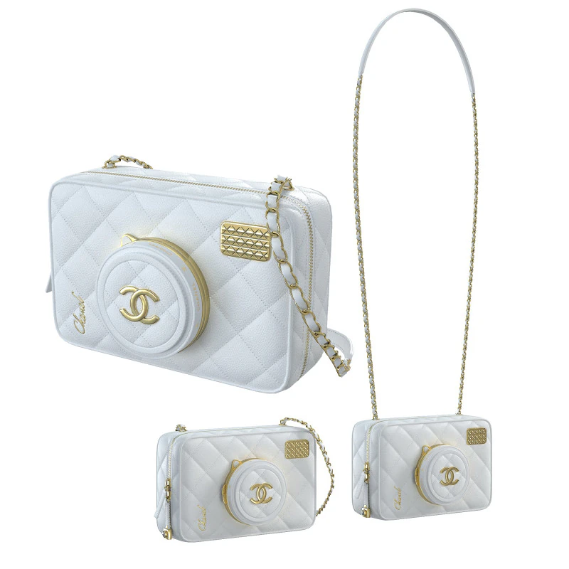 Camera Bag White 3D Model .c4d .max .obj .3ds .fbx .stl .blend 