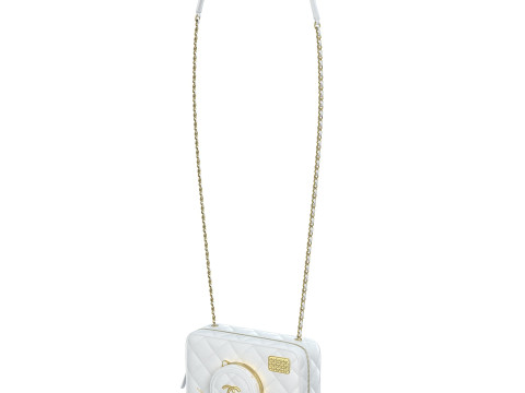 Camera Bag White 3D Model