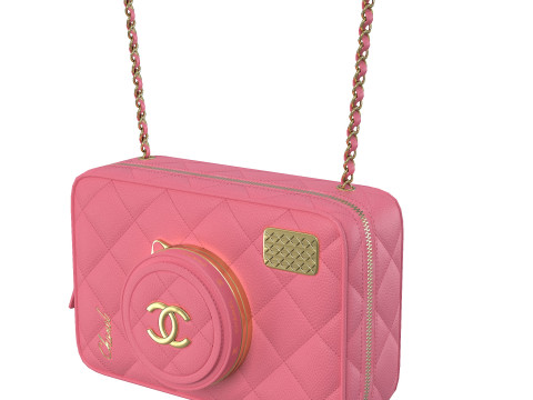 Camera Bag Pink Model 3D