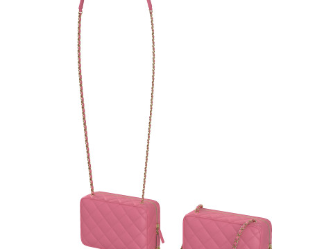 Camera Bag Pink Model 3D