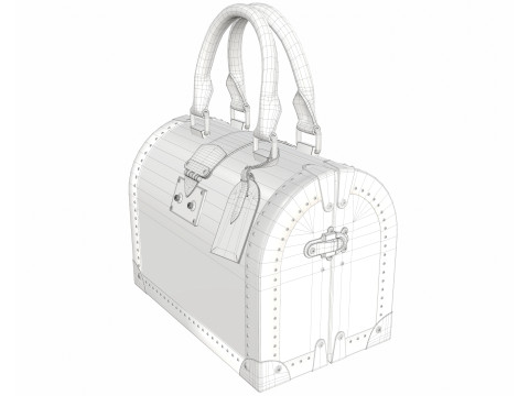 Speedy Trunk Bag Monogram Modello 3D