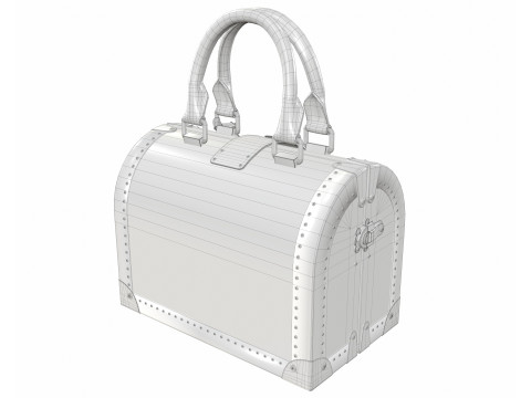 Speedy Trunk Bag Monogram Modello 3D