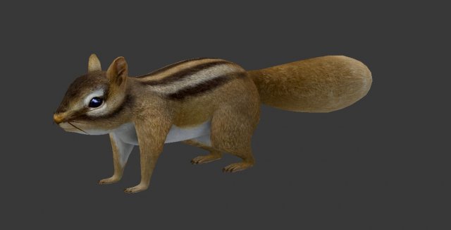 squirrel 3Dモデル .c4d .max .obj .3ds .fbx .stl .blend