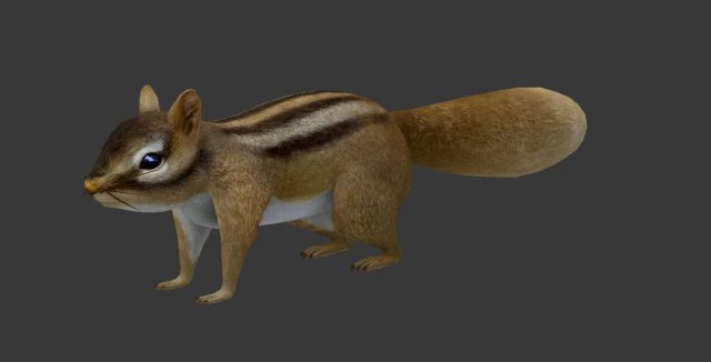 squirrel 3D Model .c4d .max .obj .3ds .fbx .stl .blend 