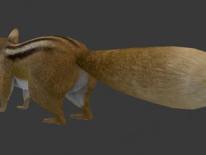 squirrel 3D Model