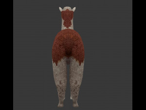alpaca 3D Model