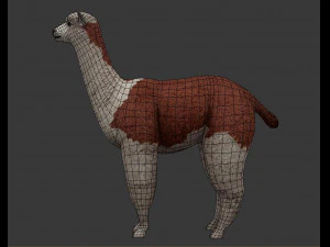Alpaca 3D Model
