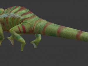 chameleon Modelo 3D