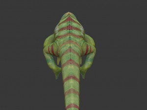 chameleon 3D Model