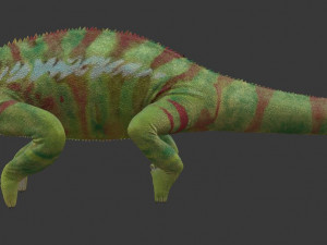 chameleon 3D Model