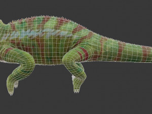 chameleon 3D Model