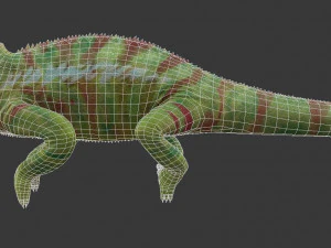 Chameleon 3D Model
