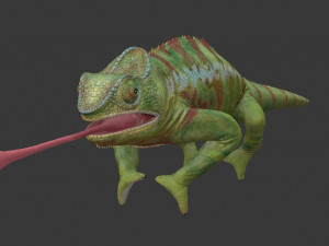 chameleon 3D Model
