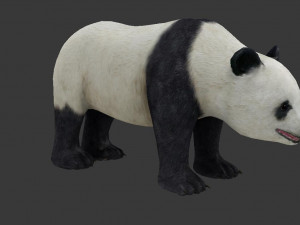 panda 3D Modell