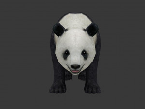 panda 3D Modell