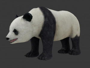 panda 3D Modell