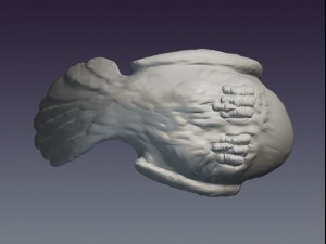 decorative dove Modèles 3D en vedette