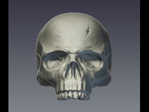 skull ring 3D Baskı Modeli