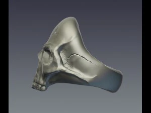 cincin tengkorak Model Cetak 3D