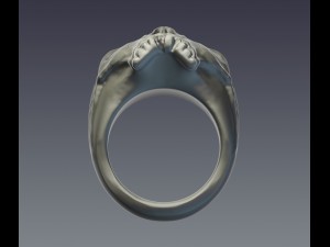 skull ring 3D Baskı Modeli