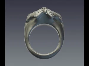 cincin tengkorak Model Cetak 3D