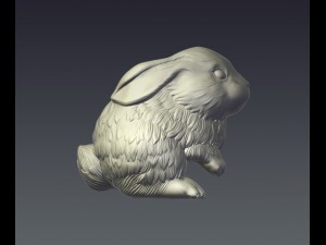 rubbit 3D Print Model