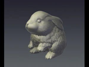 rubbit 3D Print Model