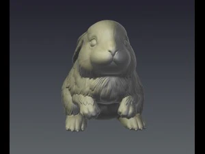 rubbit 3D Print Model