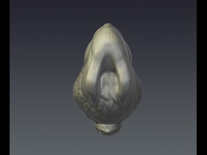 rubbit 3D-printmodel